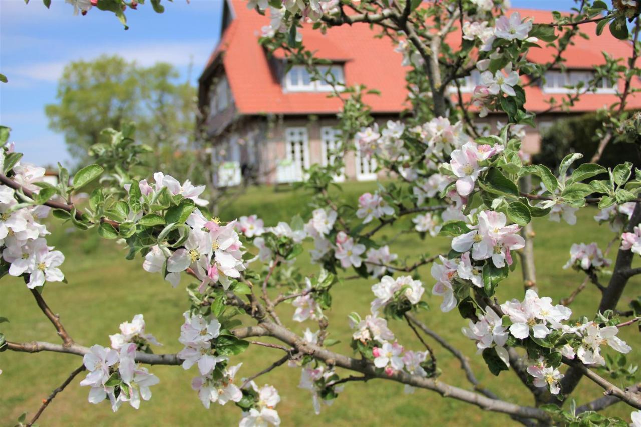 Landhaus Fuenfseen Zewnętrze zdjęcie